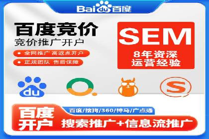 知名SEM公司案例分析：优化策略与成果