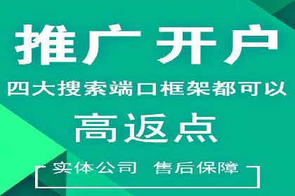 百度推广在汽车行业的营销案例